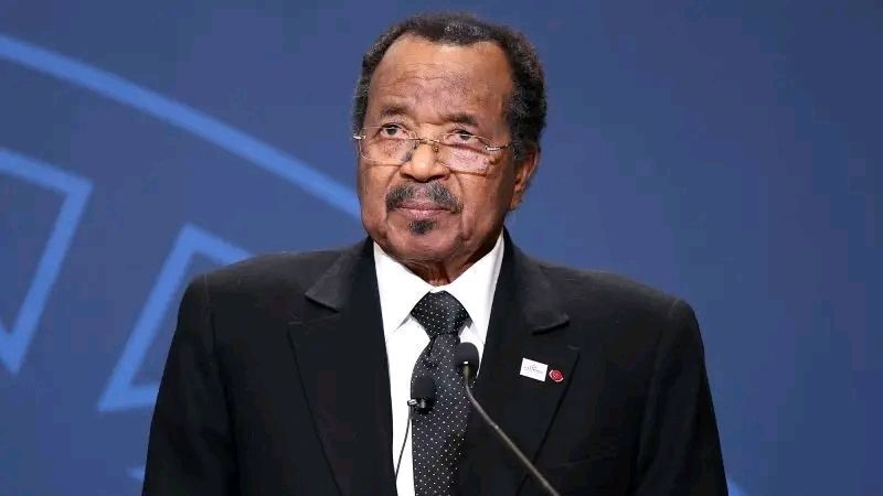 MMI News tweet media