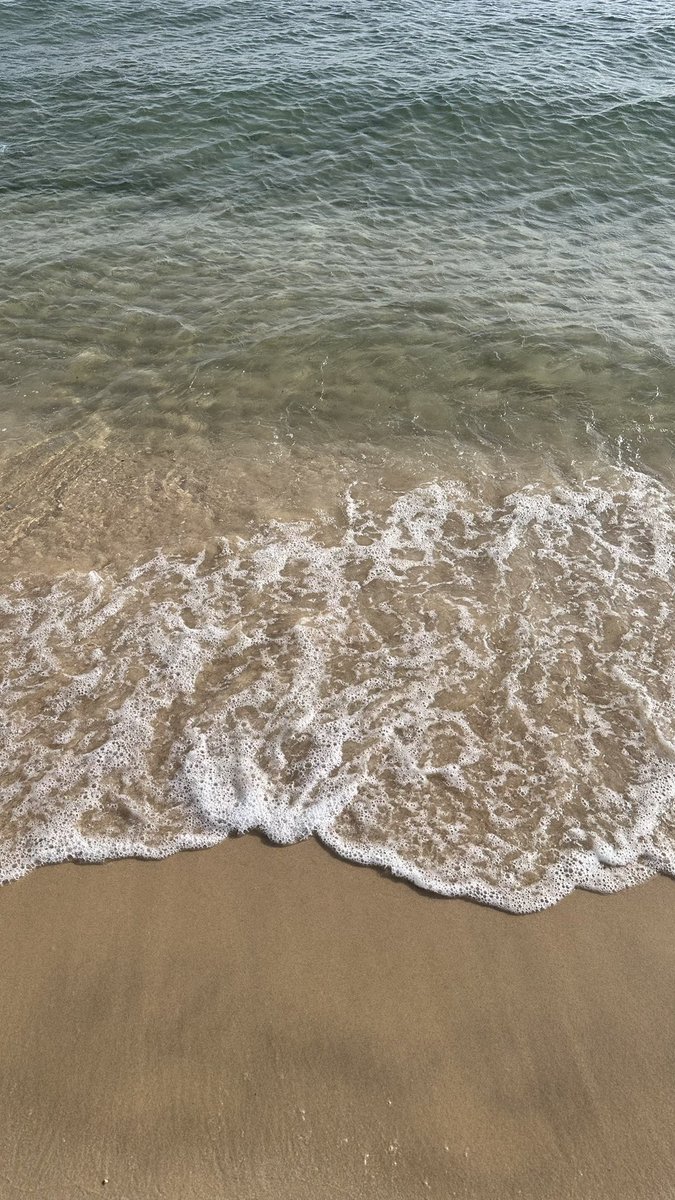 م. علي اليآمي ⚡️ tweet media