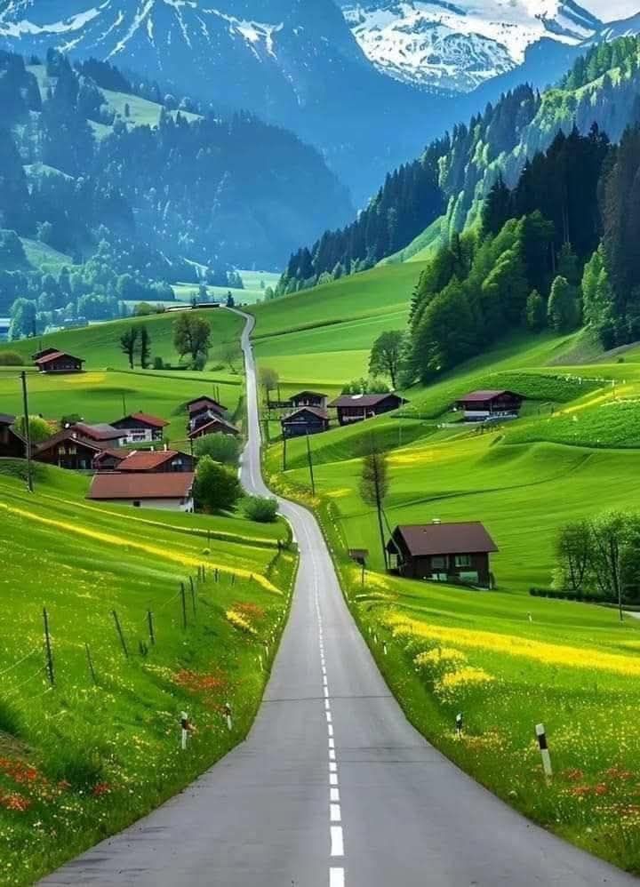 Magical views tweet media