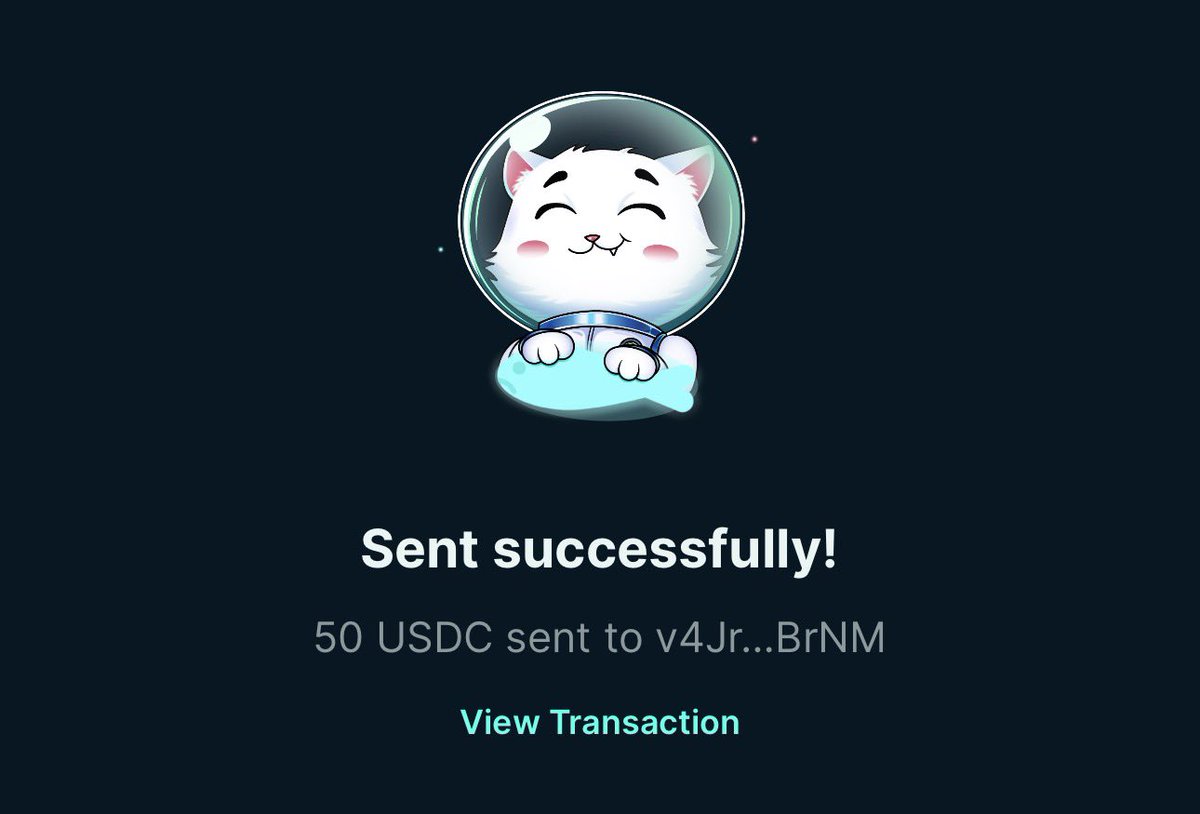 junior.dip tweet media