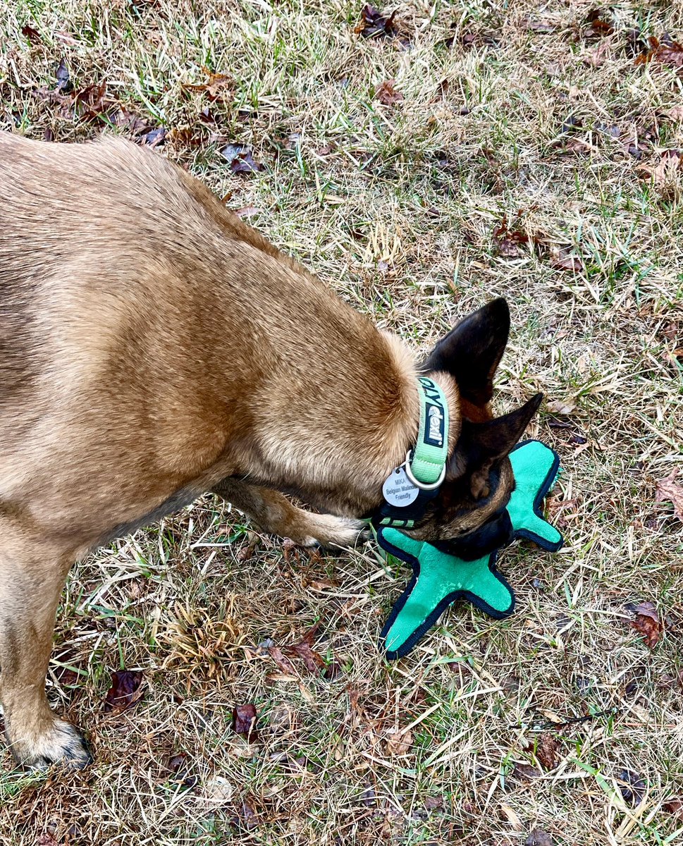 Hester de Voogd tweet media