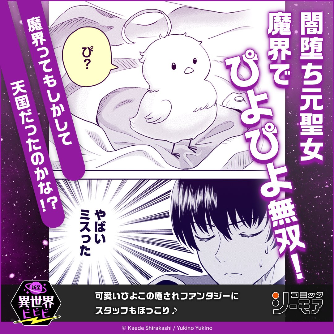 コミックシーモア限定キャンペーン
🚀新星異世界ビビビvol.3🪐実施中!
‾‾‾‾‾‾‾‾‾‾‾‾‾‾‾‾‾‾
「聖女だけど闇堕ちしたら
ひよこになりました!@ COMIC」
が対象です⭐
今なら1巻目試し読み増量
&全巻3⃣0⃣%OFF!
\さらに‼/