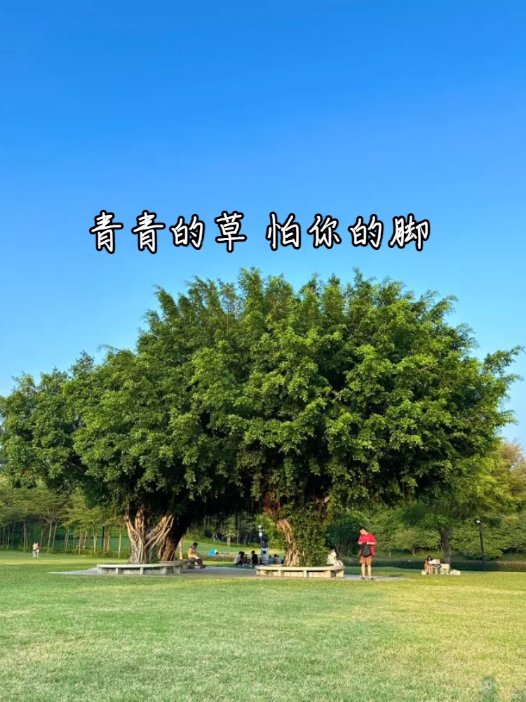 _user_123 tweet media