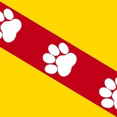 Léo the Wolf (LéoLF) tweet media