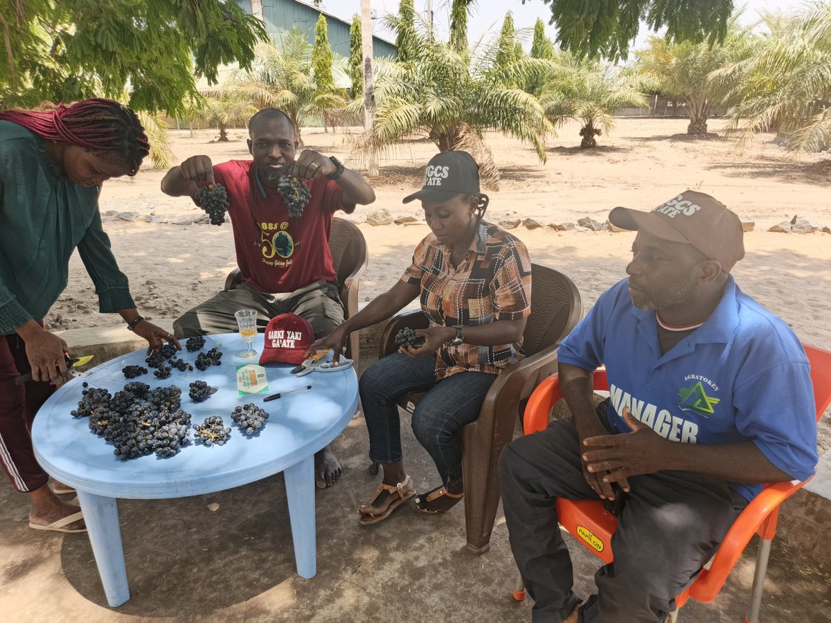 Retson Tedheke (Sarkin Yakin Ga'ate) tweet media