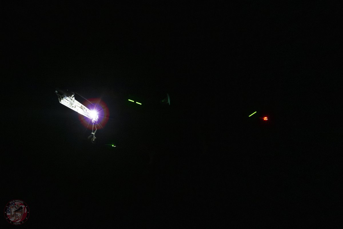 Wild Weasel tweet media