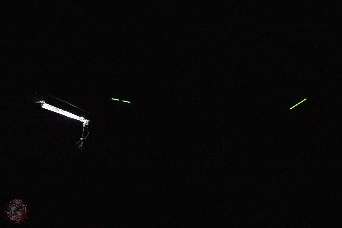 Wild Weasel tweet media