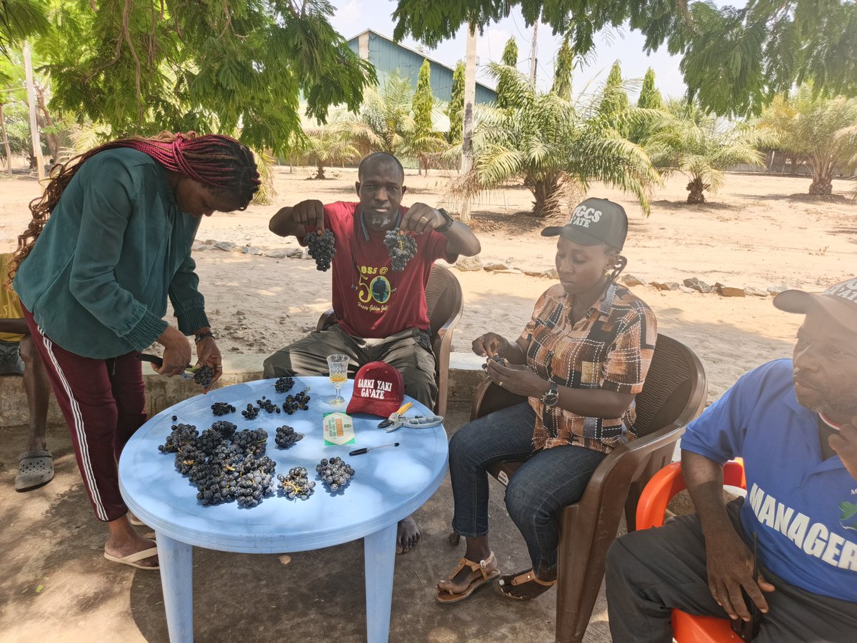 Retson Tedheke (Sarkin Yakin Ga'ate) tweet media