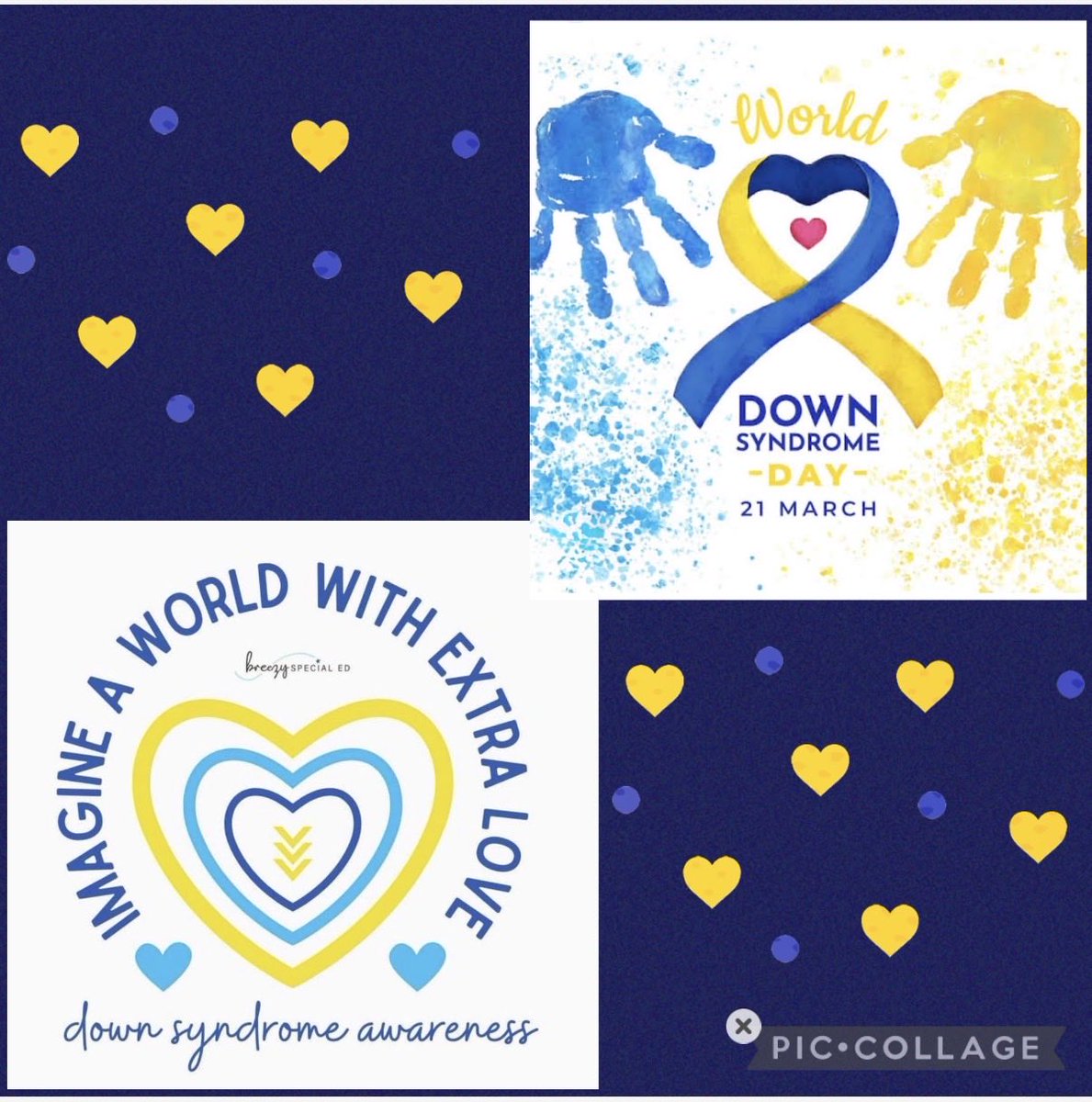 Alisyn Morder tweet media