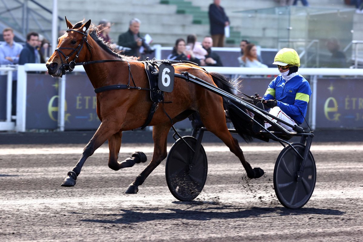 ParisTurf tweet media