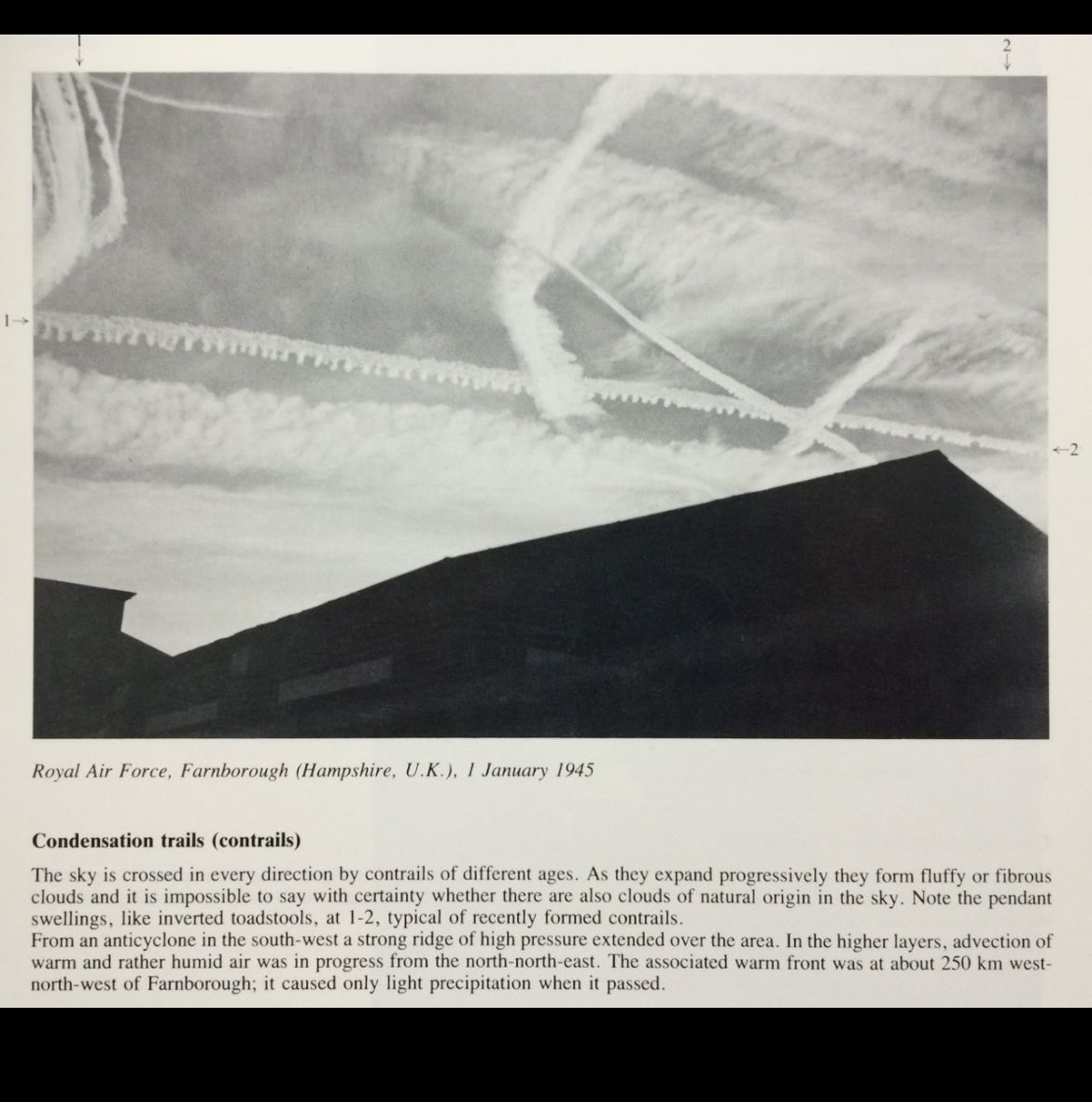 PabloPUSB tweet media