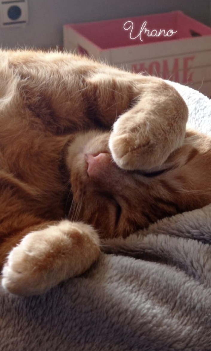 Donde yacen los antiguos. tweet media