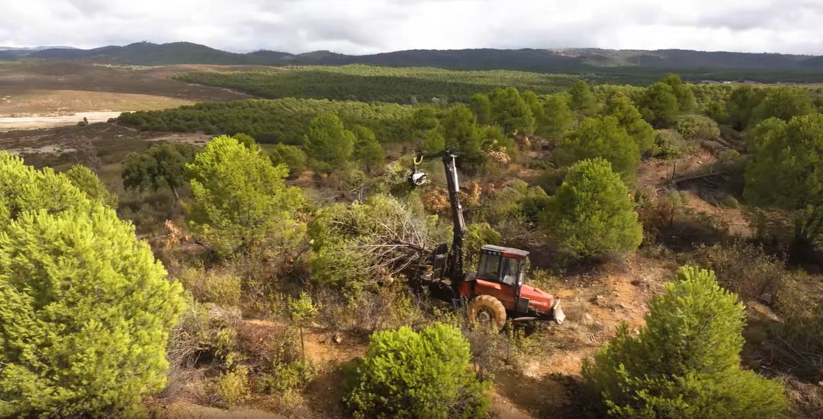 Consejería de Sostenibilidad y Medio Ambiente tweet media