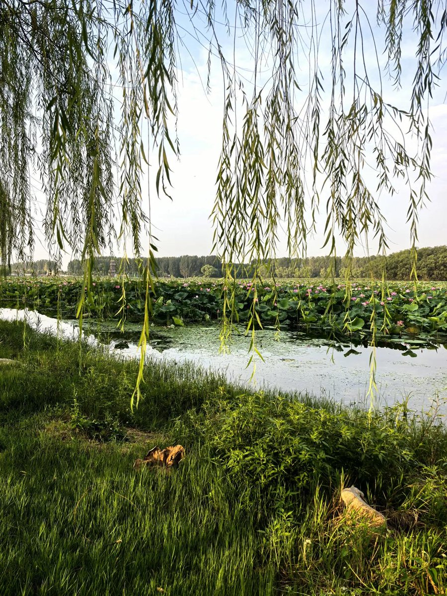 Geoff n Cherilyn tweet media