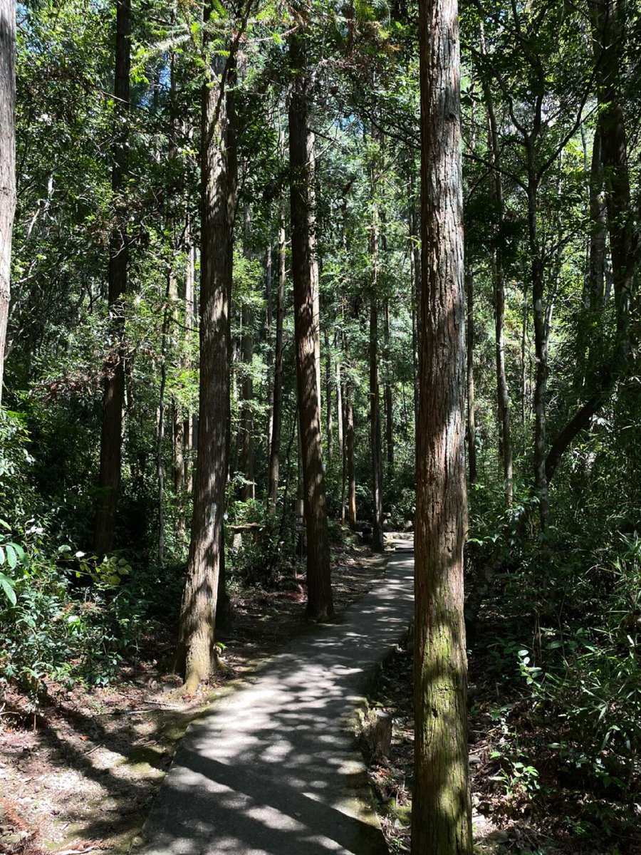 Maciej Pawłowski tweet media