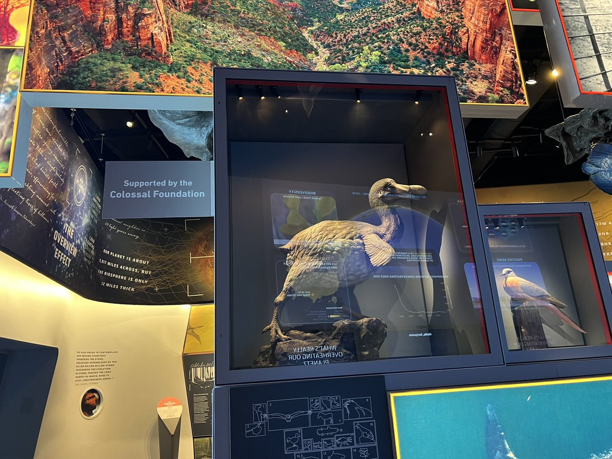 Ausarchosaur tweet media