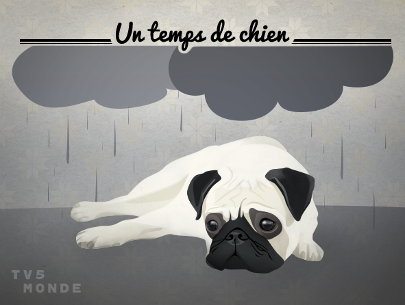 TV5MONDEapac's tweet photo. #Frenchexpression #FLE #Frenchidiom
Literally: A DOG’s weather
Meaning: Horrible weather
🐕 How is the weather today? https://t.co/Ni0x7OJNqk