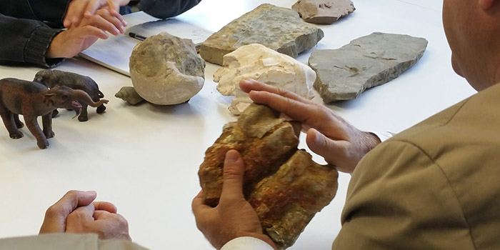 Barcelona és molt més tweet media