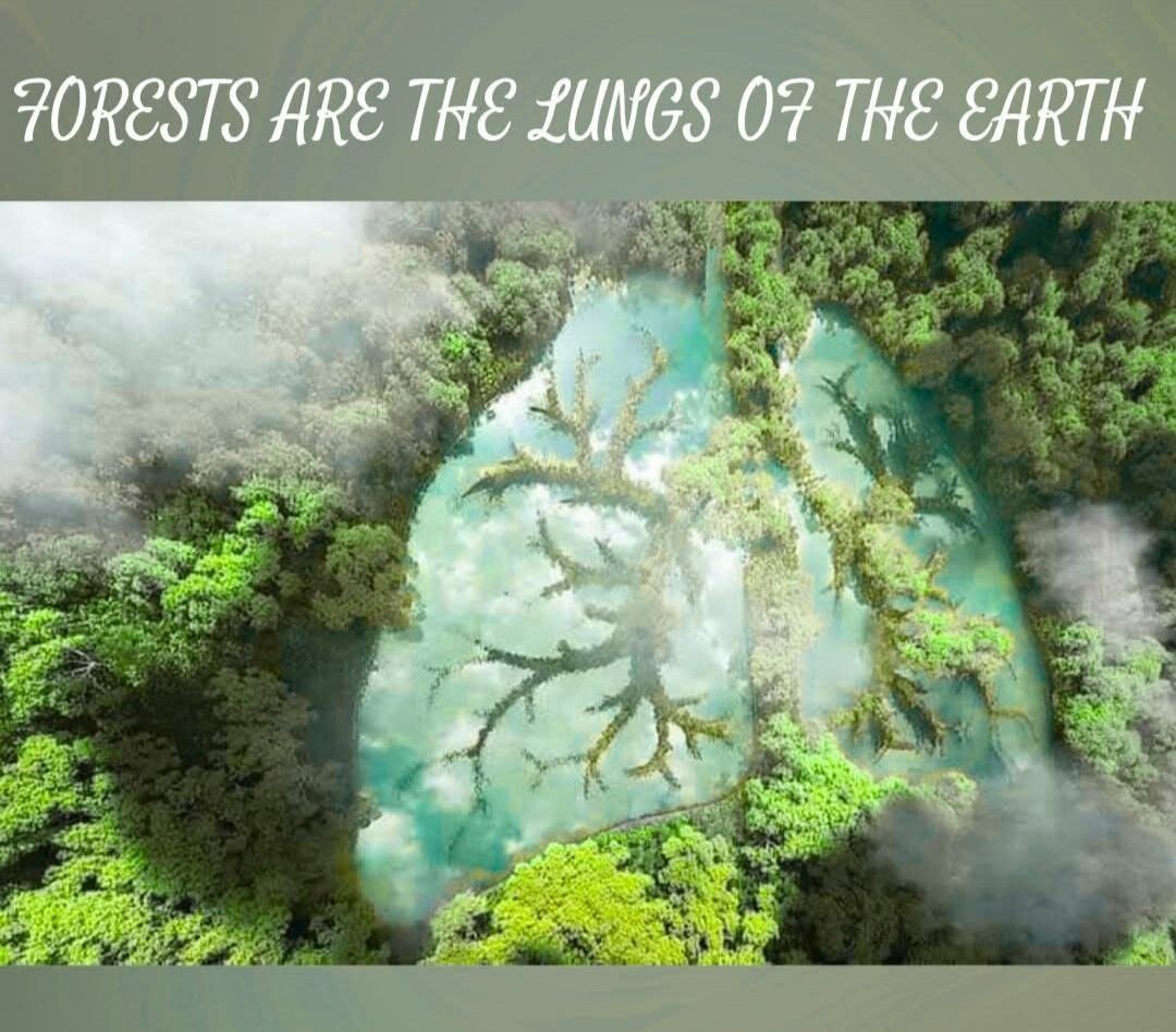 Robert J.Turyakira tweet media