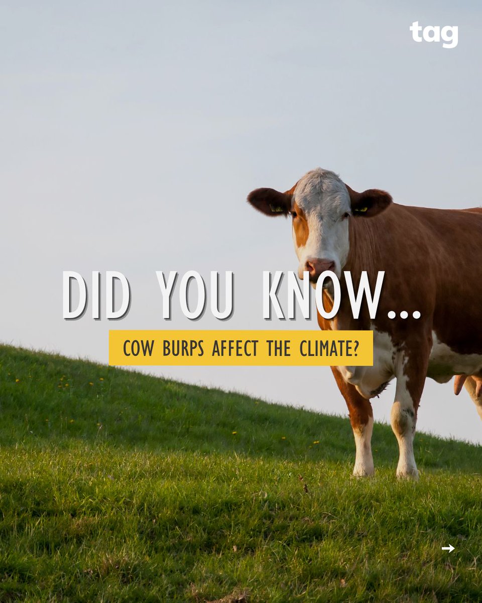 Take Action Global tweet media