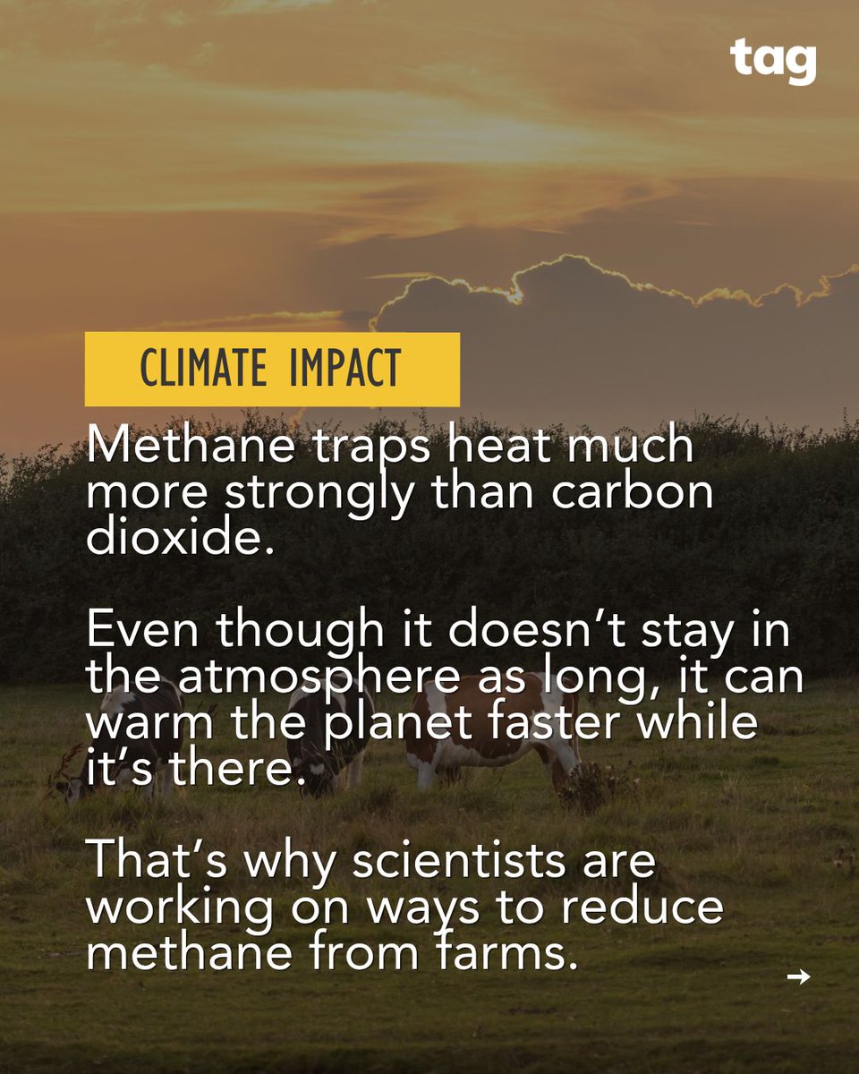 Take Action Global tweet media