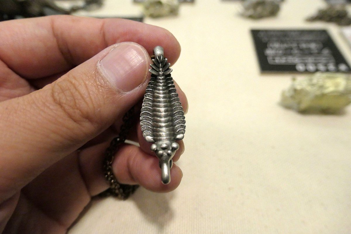 planevia tweet media