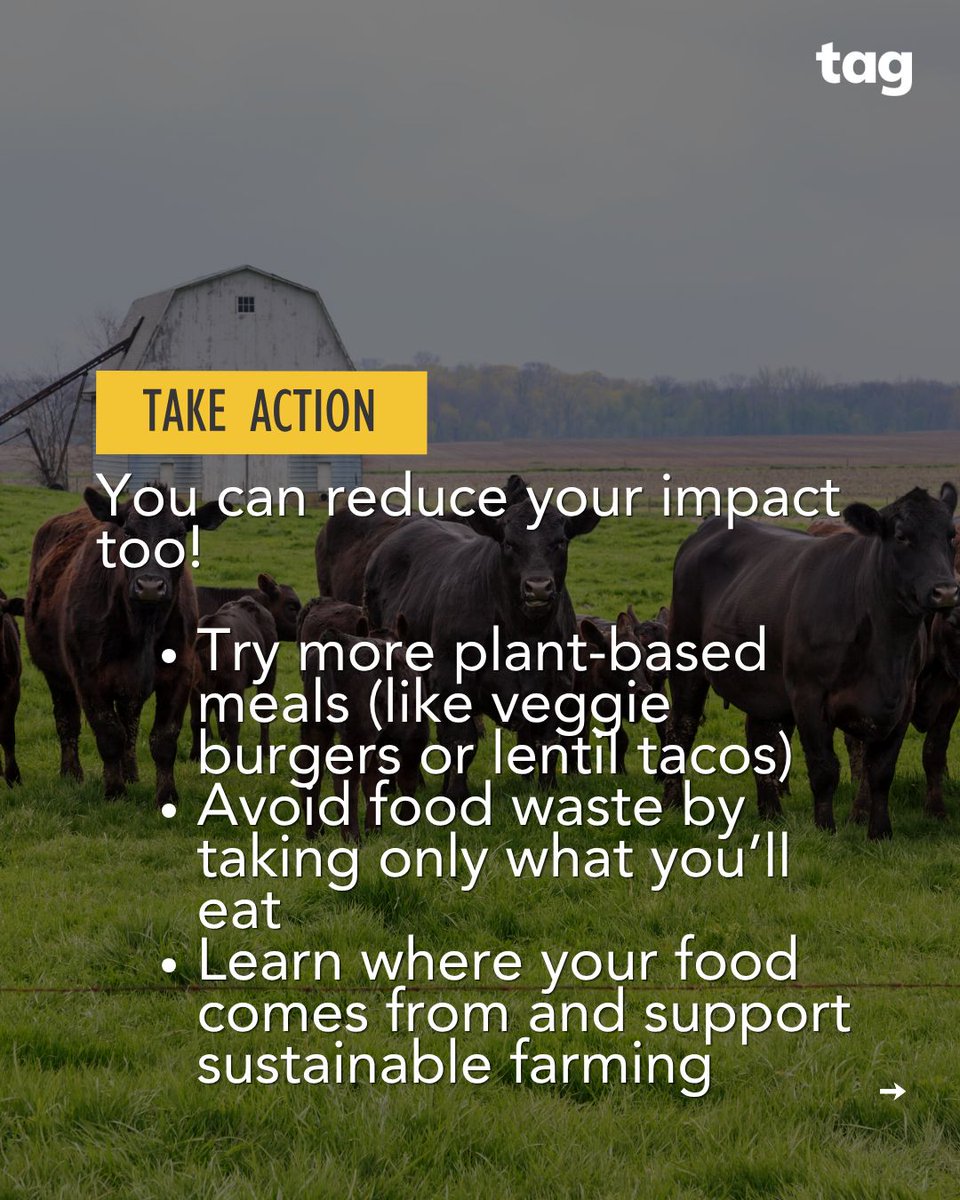 Take Action Global tweet media