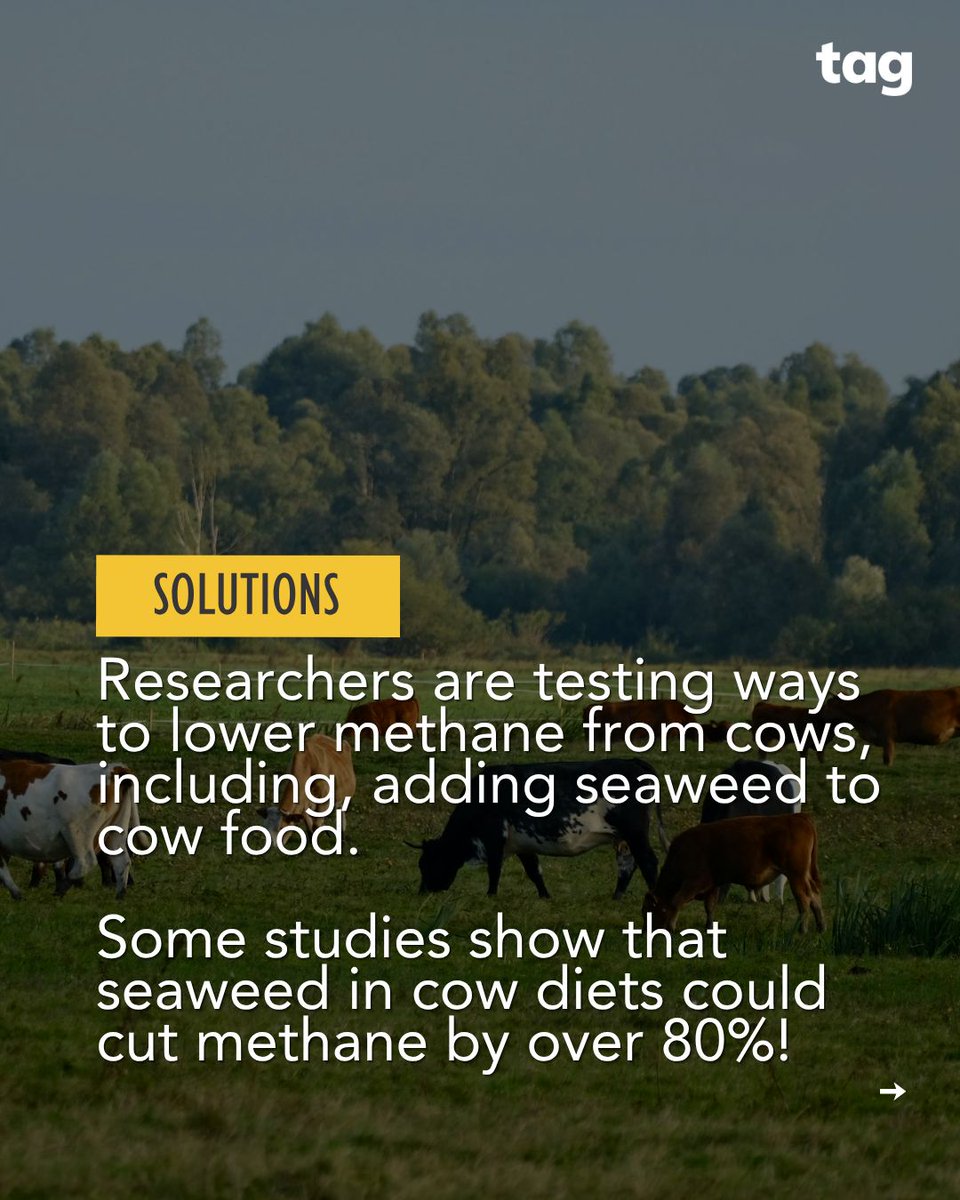 Take Action Global tweet media