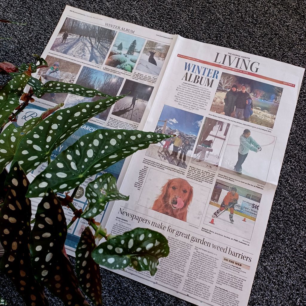 Corey McMaken tweet media