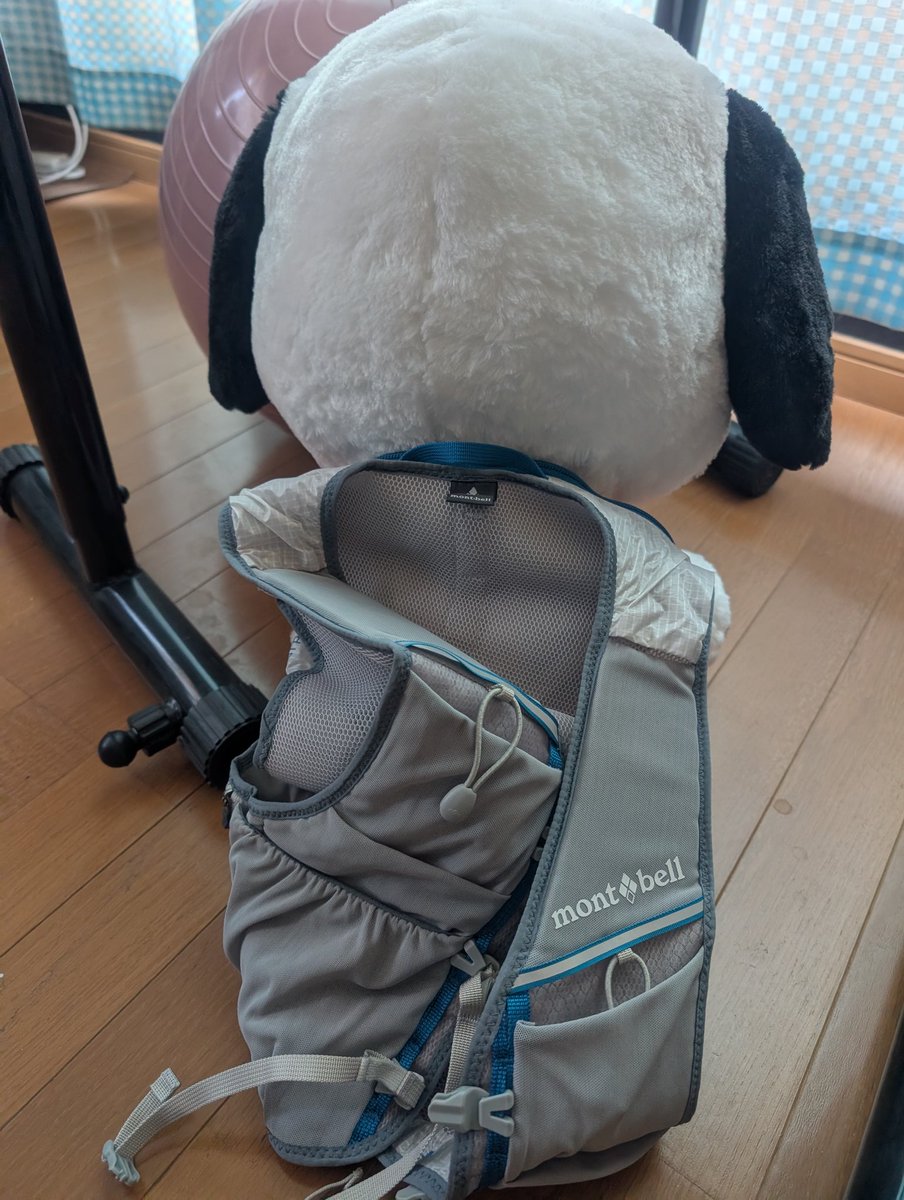 hoxy720's tweet photo. 明日は、仲間を背負ってゴール目指します！
ポチャッコ大好きな仲間から身代わりを預かりました笑
せっかくリュック背負うので、サロンの名刺をポケットに入れて走ります。欲しい方、居たらお声掛けかけください笑

明日は、穴開きタクミセン8で走ります🔥
#久喜マラソン https://t.co/4x2GPEuJhO