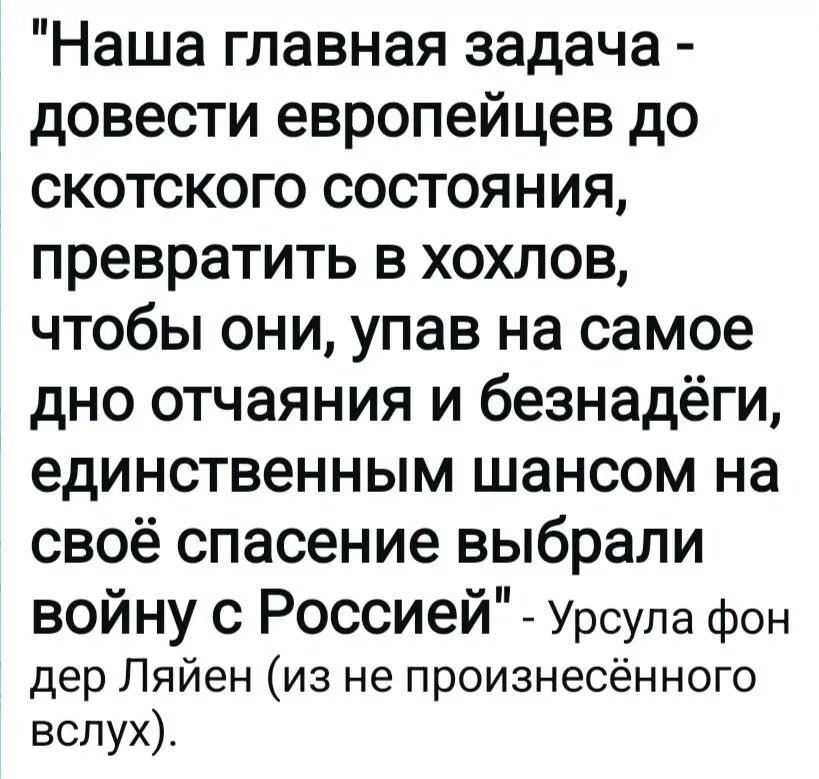 Tank Excellence IV, портяночный эпистолярий. tweet media