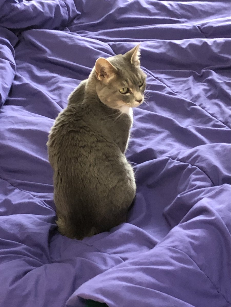 Jennifer Gregg tweet media