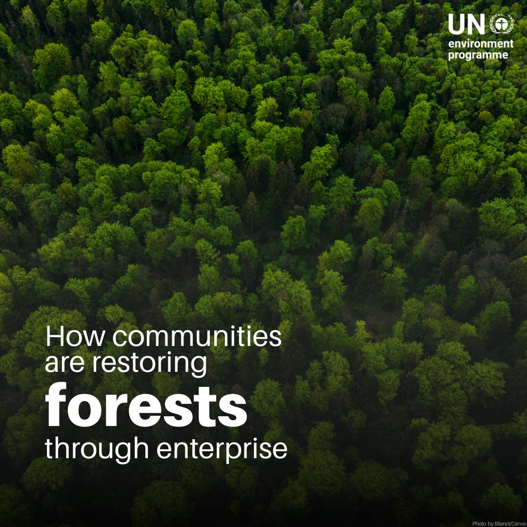 UN Environment Programme tweet media