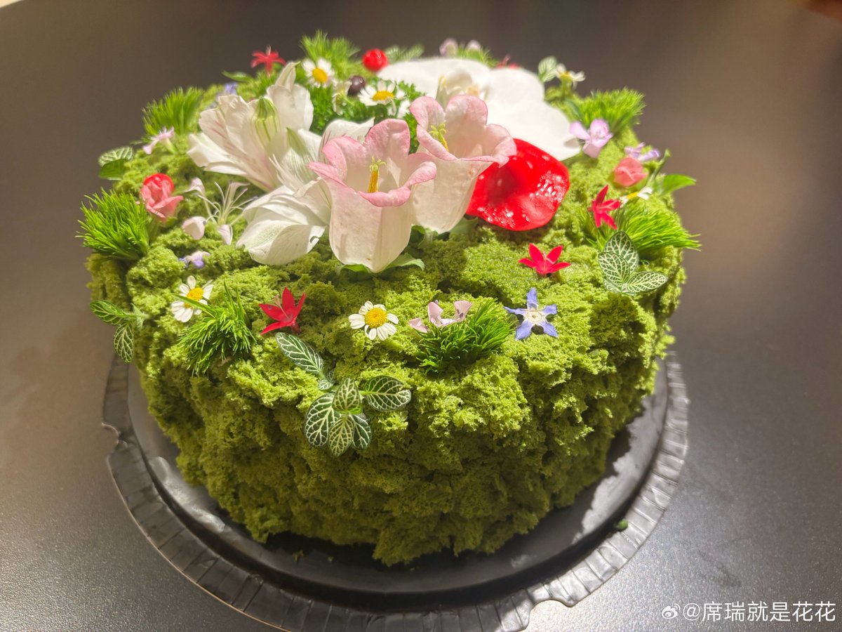 Сергей Бородулин tweet media