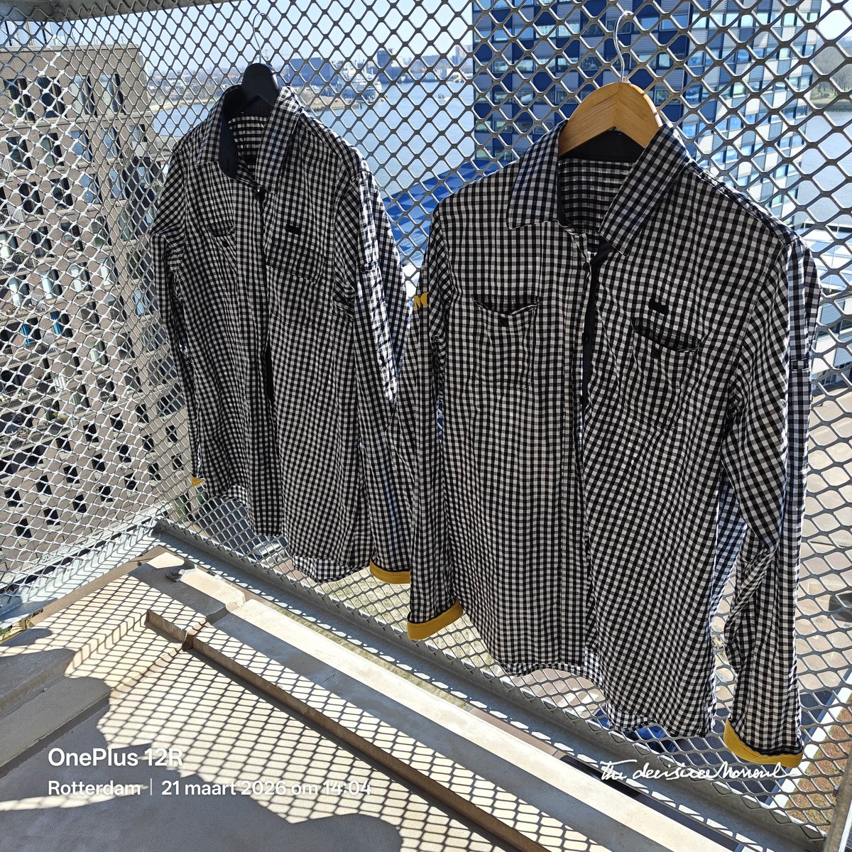 🩷Pinkalisicious in wonderland 💓 tweet media