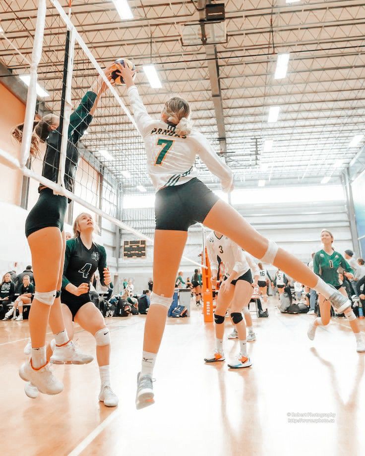 volleybops tweet media