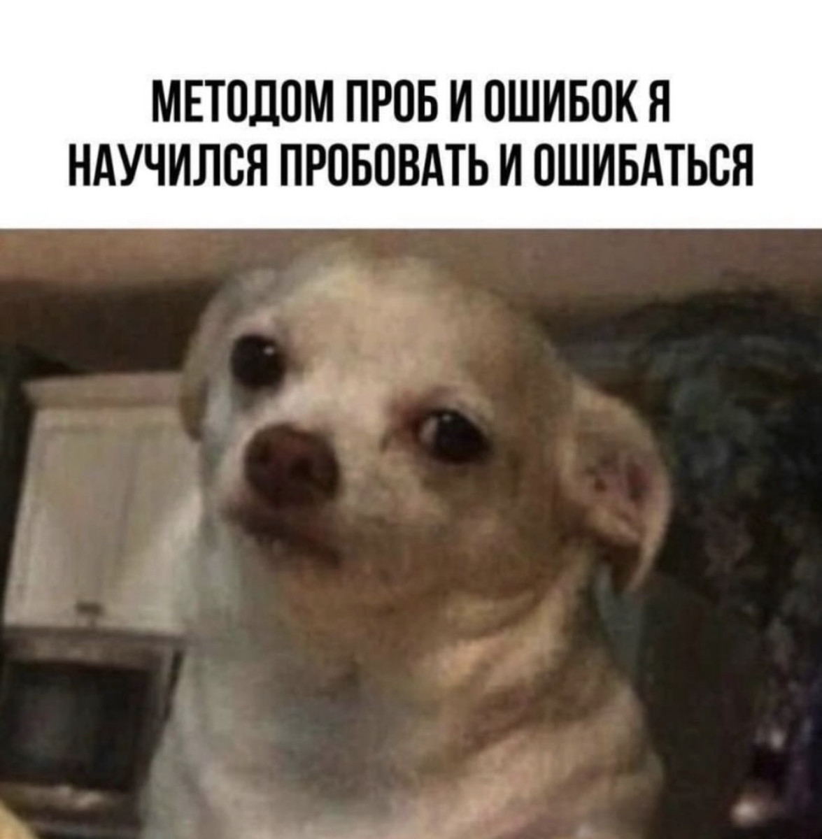 Number One tweet media