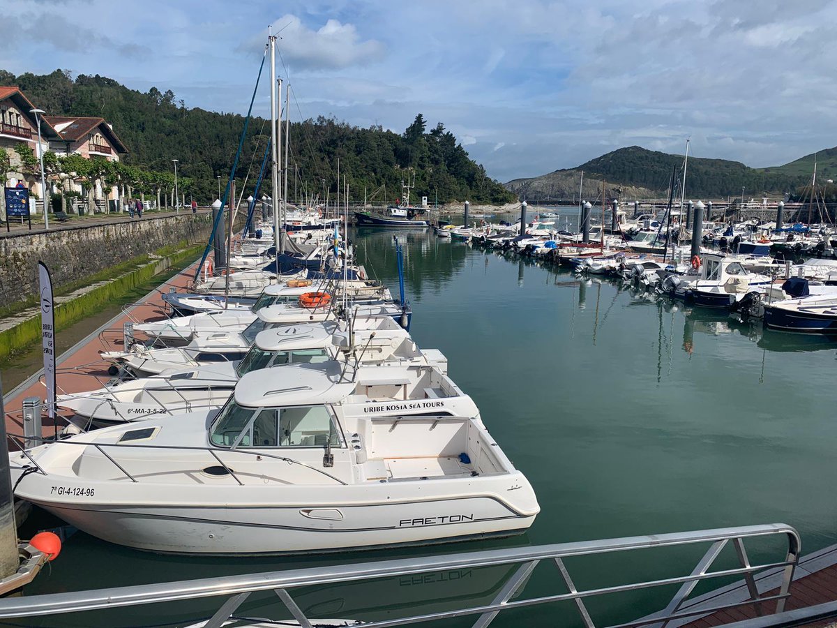 saronya ||| 🕊🏳️‍🌈 tweet media