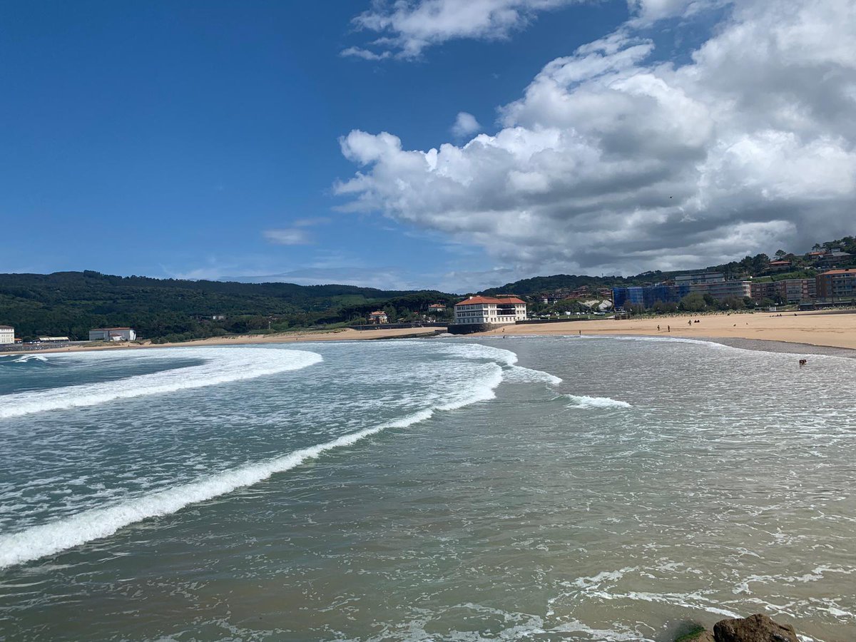 saronya ||| 🕊🏳️‍🌈 tweet media