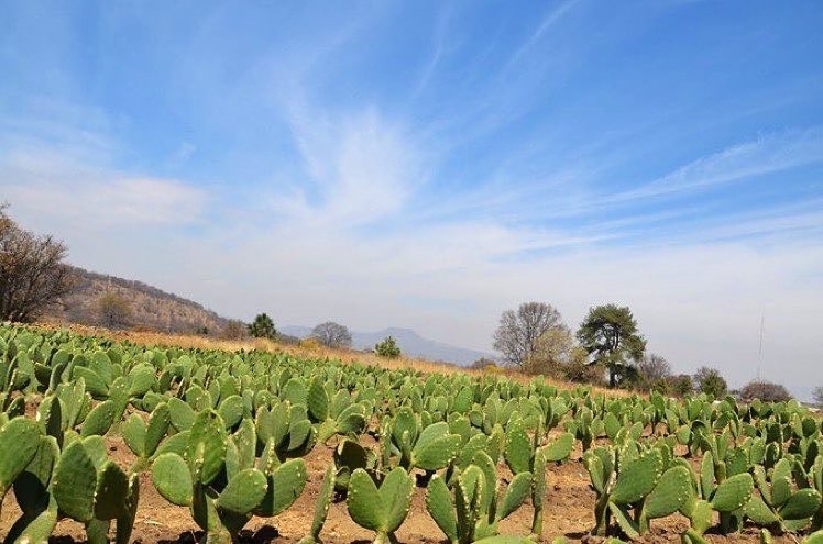 EsMexico Explore 📍🌐 tweet media