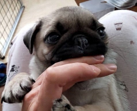 ひまわり🌻 tweet media