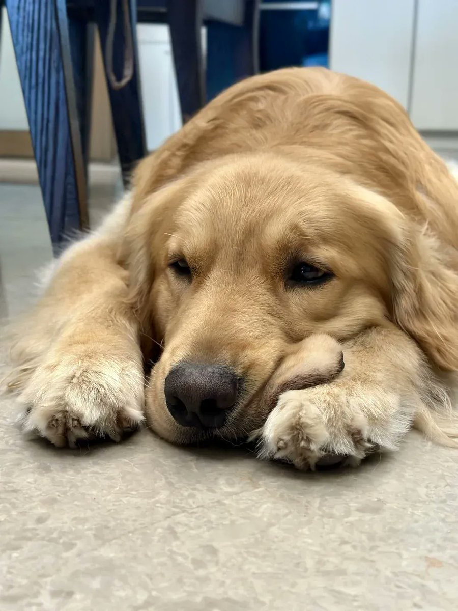 Hannah Clark tweet media