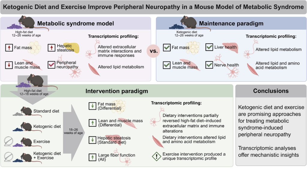 Stéphanie Eid, PhD tweet media