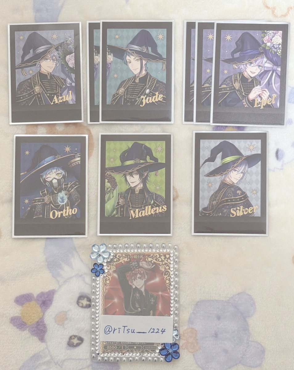 Ritsu🐻❄️🫧 tweet media