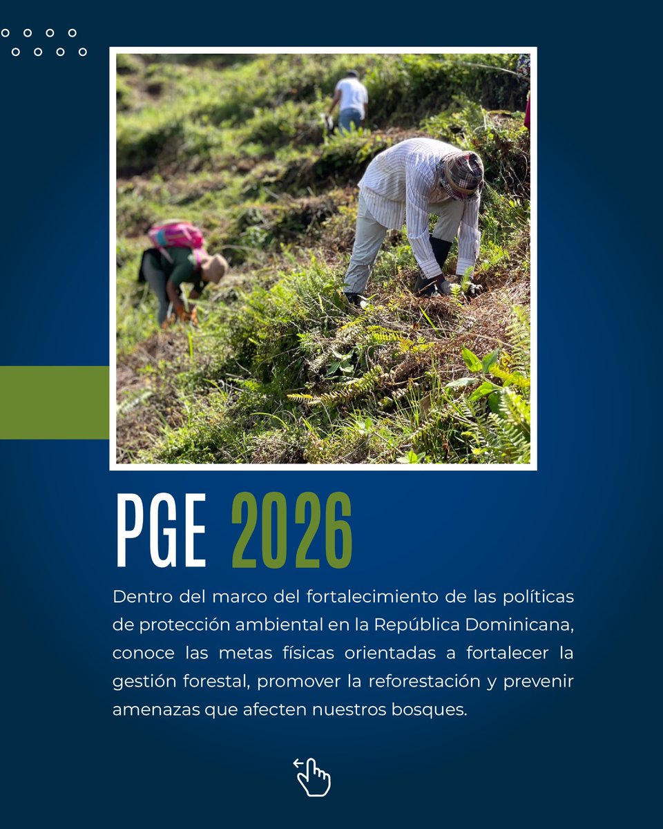 Dirección General de Presupuesto tweet media