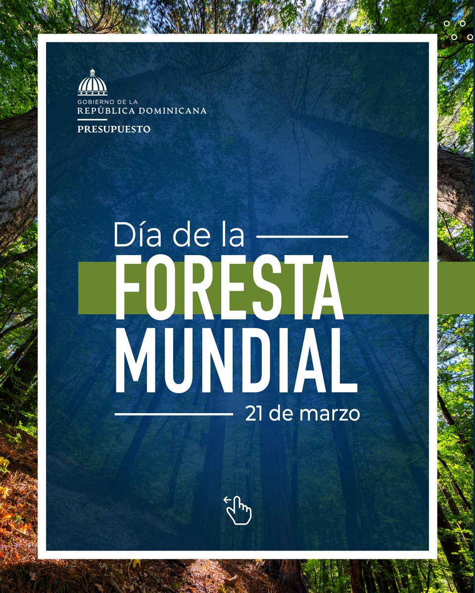 Dirección General de Presupuesto tweet media