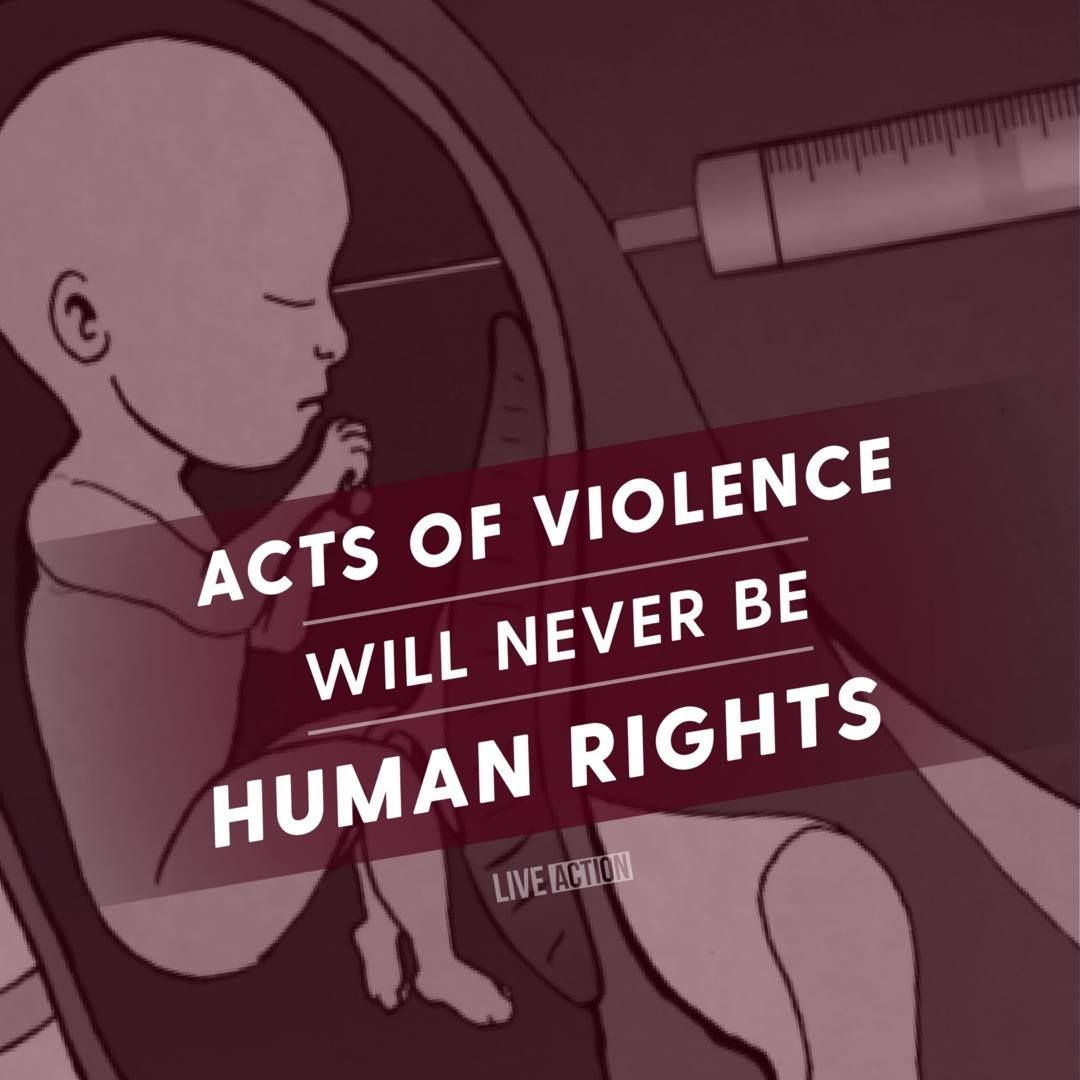 Stephen Posvar tweet media