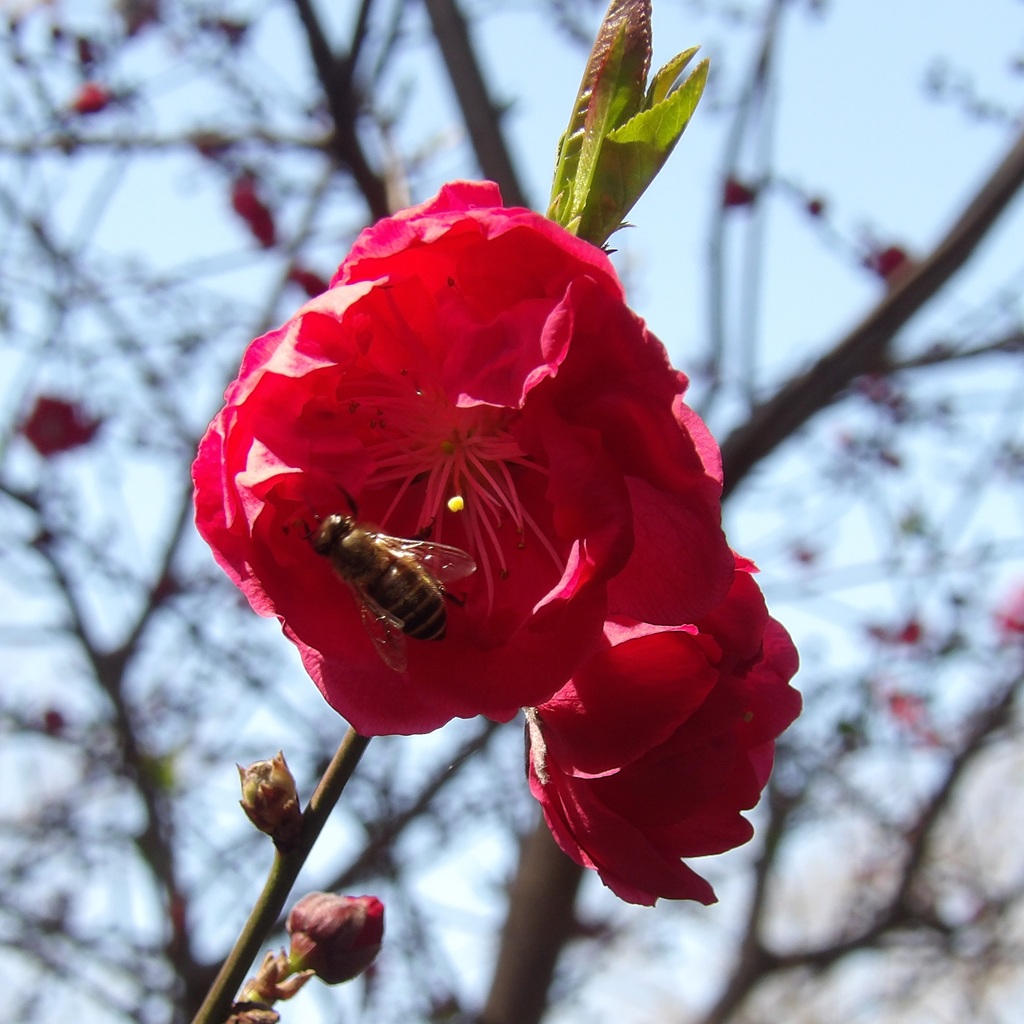 Torbjörn Andersson tweet media