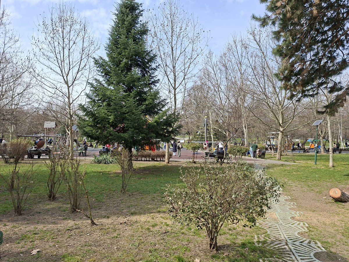 Romania News tweet media