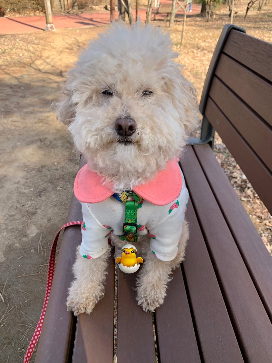 변경 가능한 티켓 tweet media